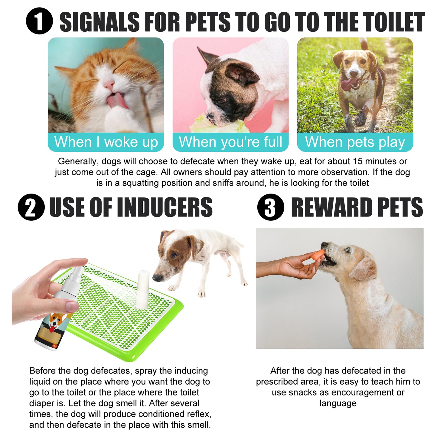 Yegbong Pet Defecation Positioning Spray Pet Potty Training Aid for Cats and Dogs
