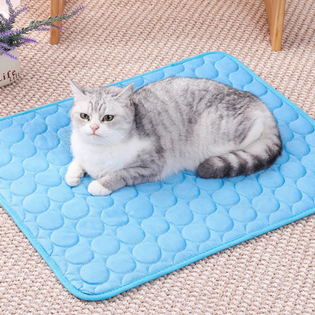 Veterinary Recommended Pet Cooling Pad Available in US Inventory for Same Week Local Delivery