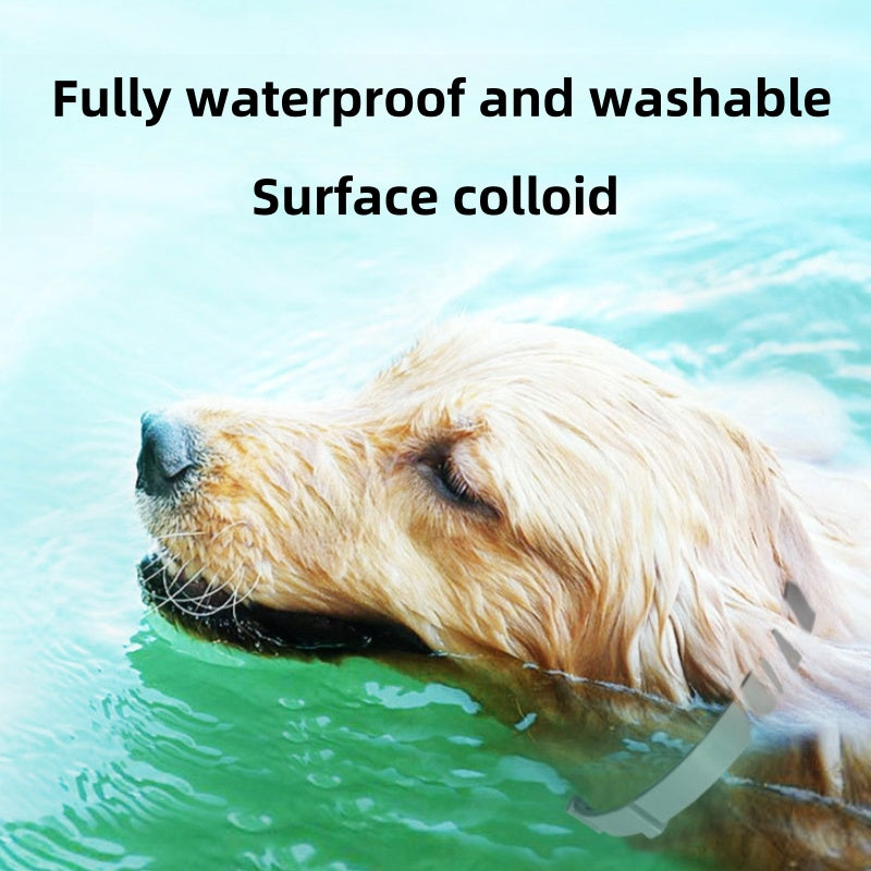 Premium Flea and Tick Collar for Dogs and Cats with 8 Months Protection Shipped Fast From US Warehouse for Quick Delivery