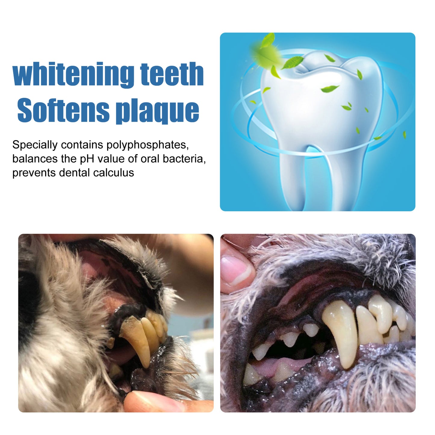 Yegbong Pet Tartar Remover Remove Dental Calculus Yellow Teeth Bad Breath Oral Foam Cleaner