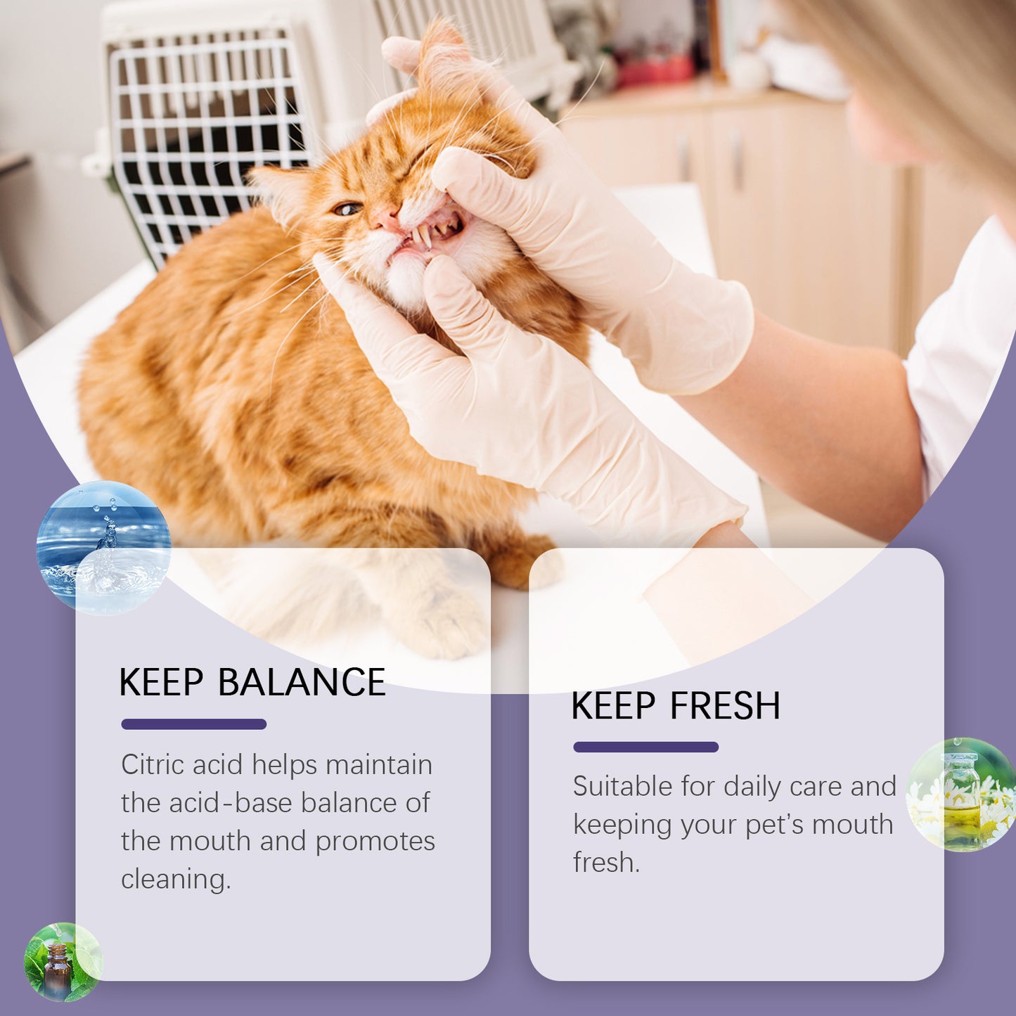 Yegbong Pet Oral Repair Gel Pet Oral Cleaning Gel for Removing Stains and Yellow Teeth Daily Care