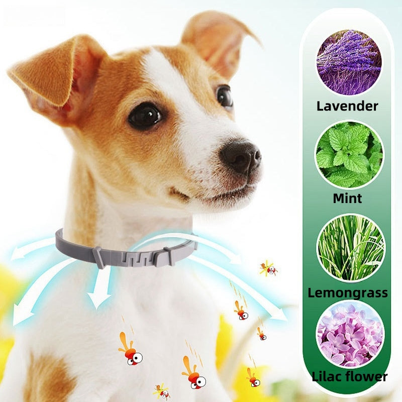 Premium Flea and Tick Collar for Dogs and Cats with 8 Months Protection Shipped Fast From US Warehouse for Quick Delivery