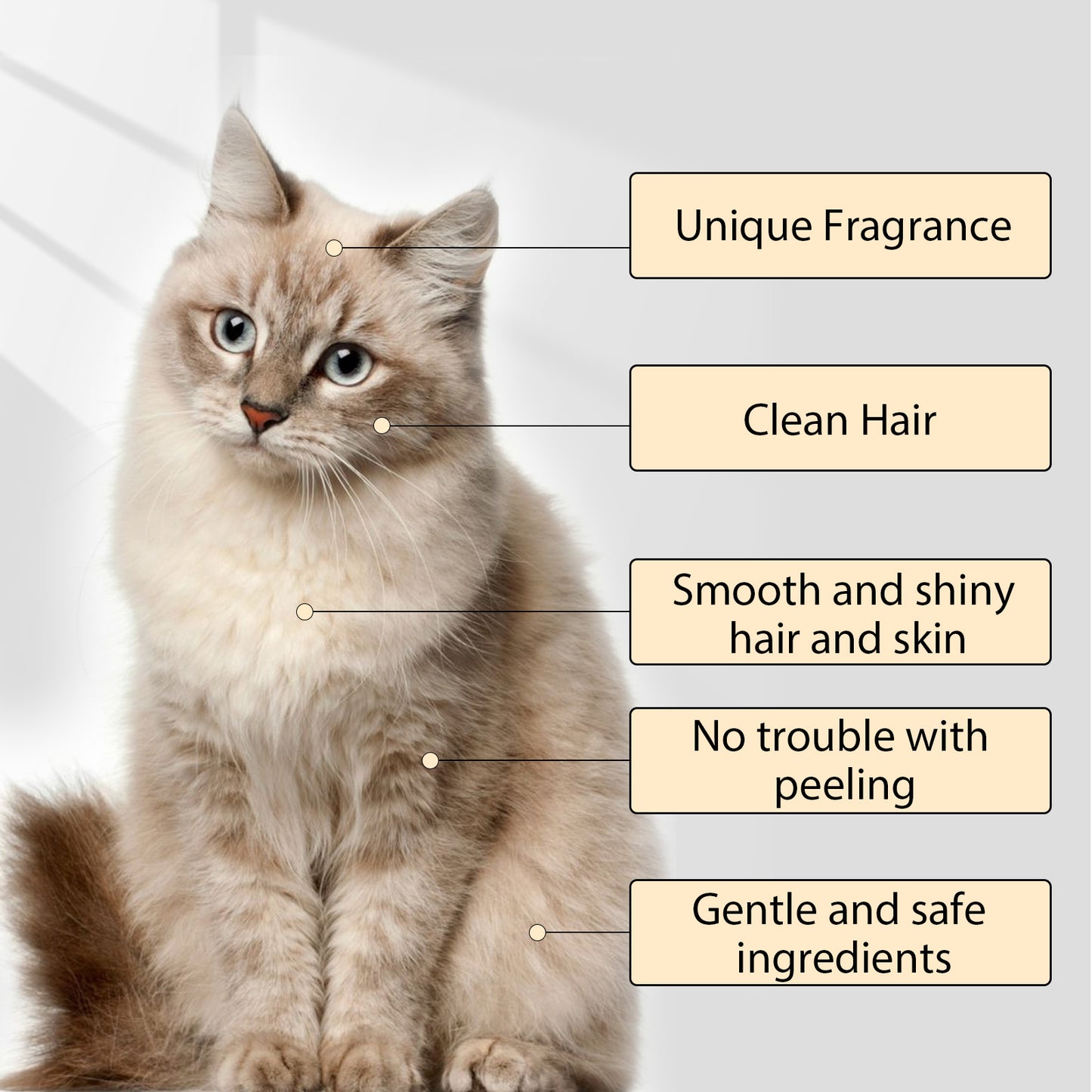 Yegbong Pet Shampoo (100g) – Gentle Cleansing for Pets (Cats & Dogs), Smooths Fur, Prevents Tangles, Shampoo & Conditioner