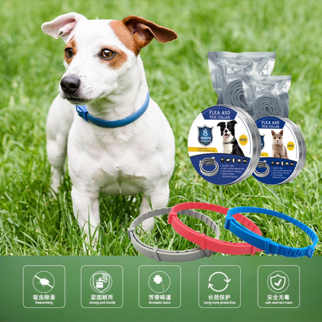 Premium Flea and Tick Collar for Dogs and Cats with 8 Months Protection Shipped Fast From US Warehouse for Quick Delivery