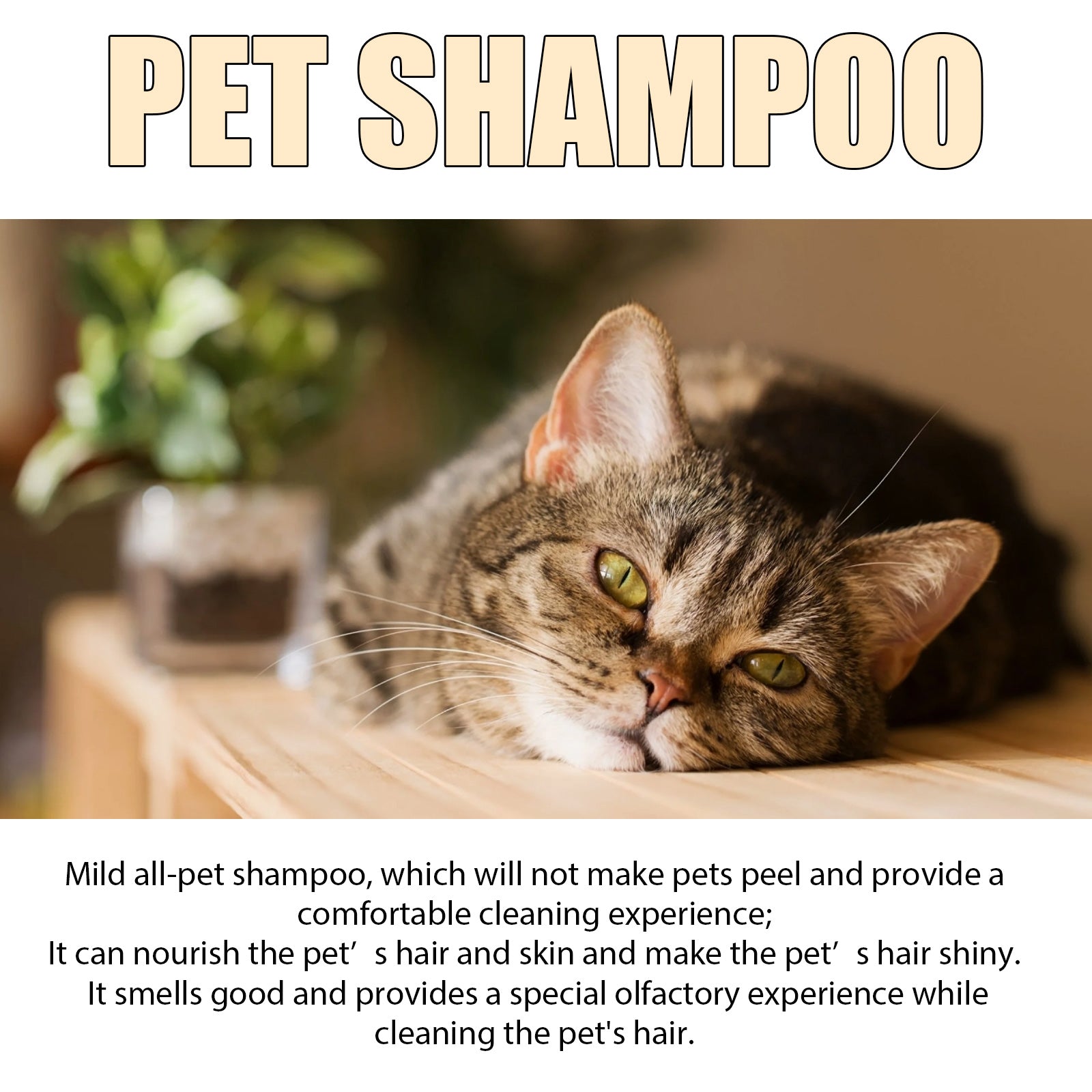 Yegbong Pet Shampoo (100g) – Gentle Cleansing for Pets (Cats & Dogs), Smooths Fur, Prevents Tangles, Shampoo & Conditioner