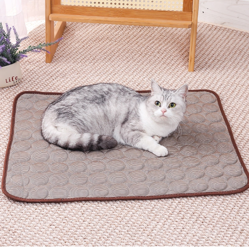 Veterinary Recommended Pet Cooling Pad Available in US Inventory for Same Week Local Delivery
