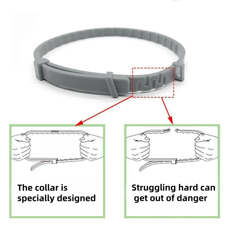 Premium Flea and Tick Collar for Dogs and Cats with 8 Months Protection Shipped Fast From US Warehouse for Quick Delivery