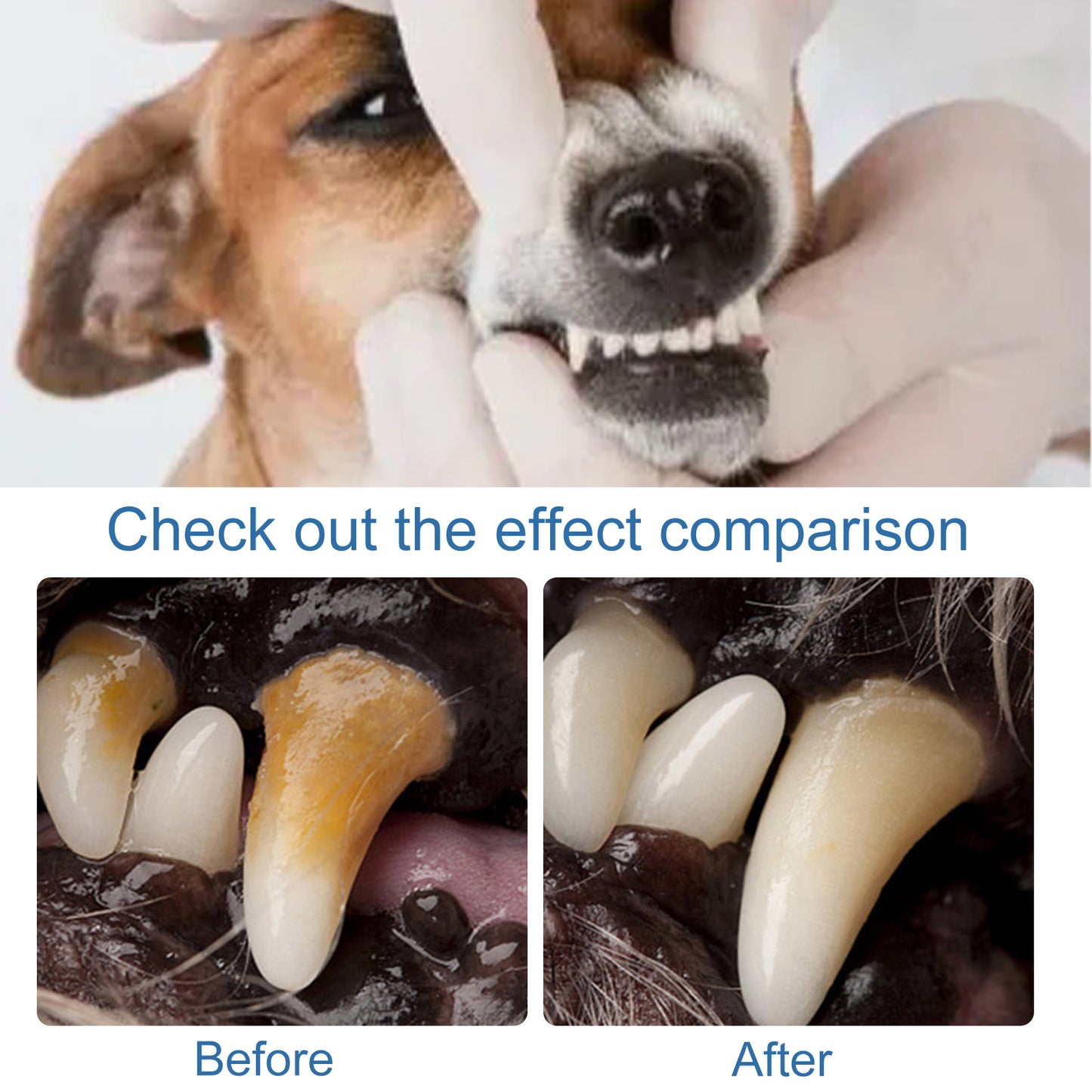 Yegbong Pet Tartar Remover Remove Dental Calculus Yellow Teeth Bad Breath Oral Foam Cleaner