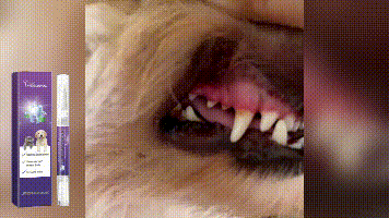 Yegbong Pet Oral Repair Gel Pet Oral Cleaning Gel for Removing Stains and Yellow Teeth Daily Care