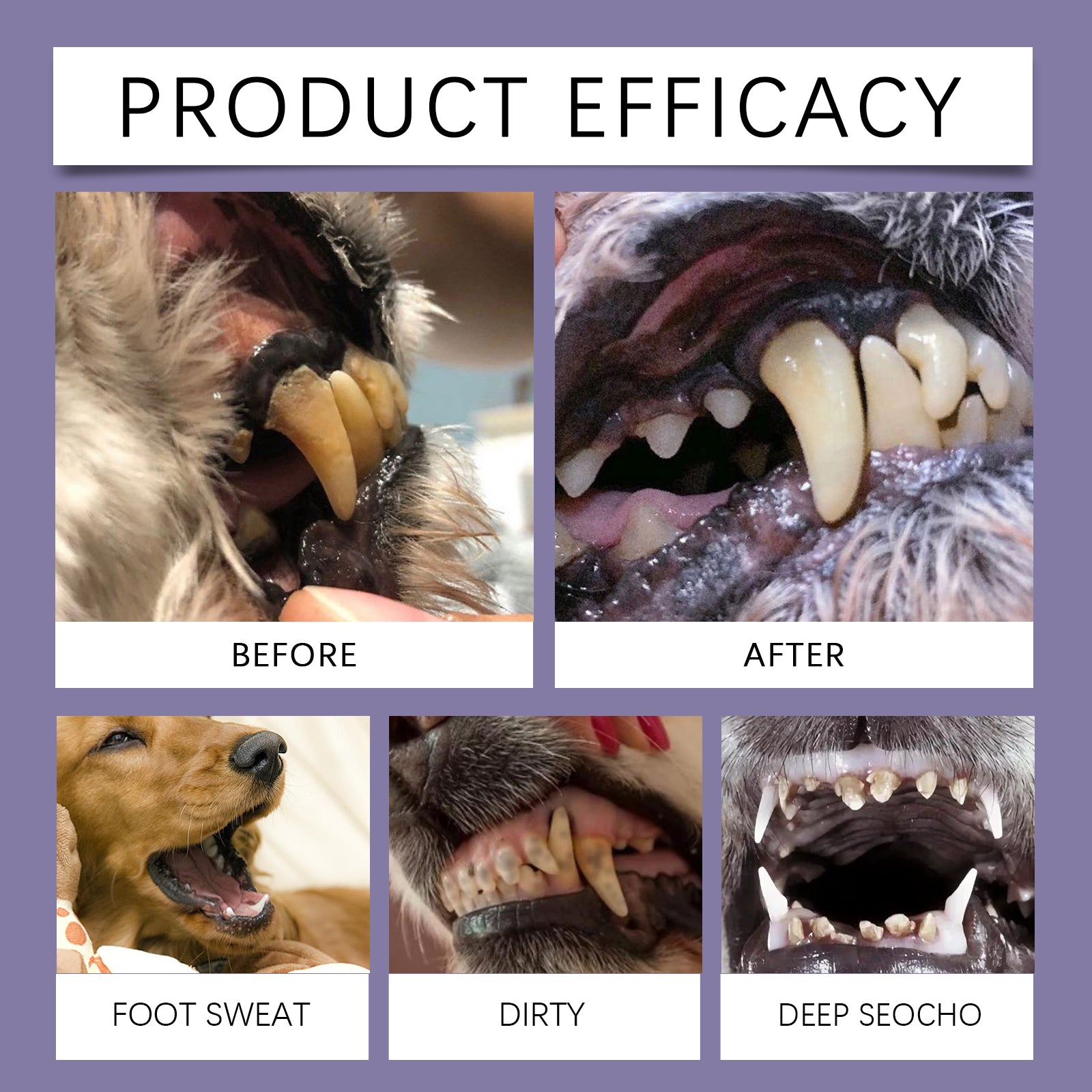 Yegbong Pet Oral Repair Gel Pet Oral Cleaning Gel for Removing Stains and Yellow Teeth Daily Care