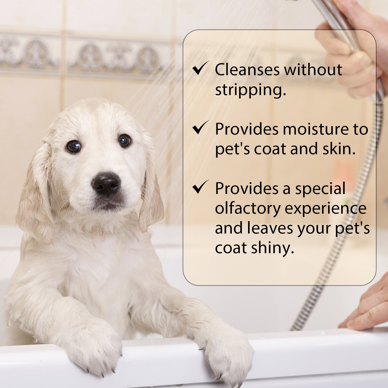 Yegbong Pet Shampoo (100g) – Gentle Cleansing for Pets (Cats & Dogs), Smooths Fur, Prevents Tangles, Shampoo & Conditioner